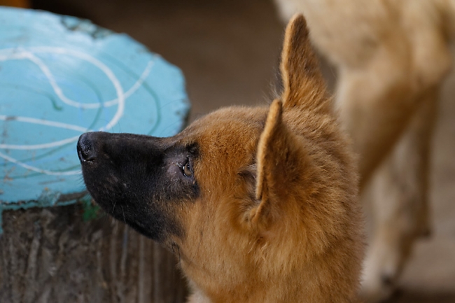 Famille et amis NOV12-045